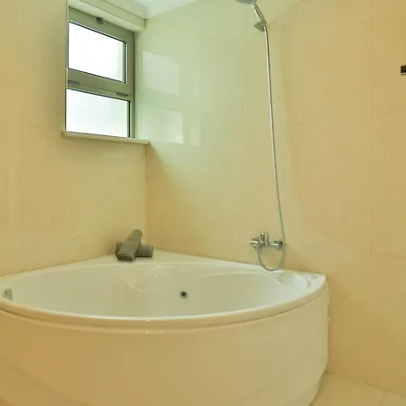 The Panoramic View *