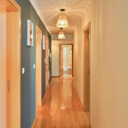 The Panoramic View *