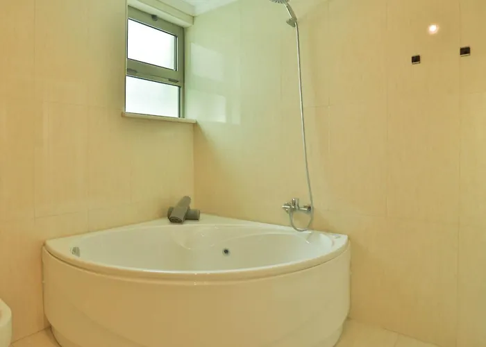 The Panoramic View *